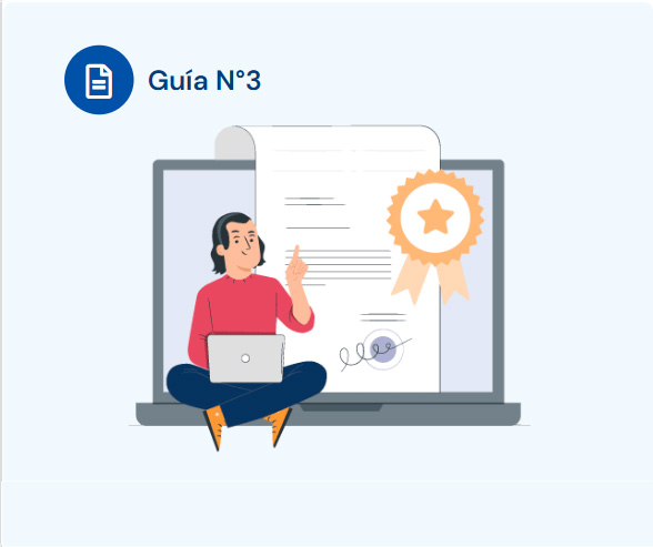 Guía 3: ¿Qué es la Resolución Exenta?