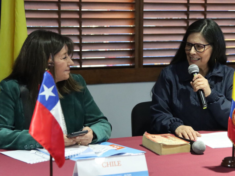 Carmen Gloria Daneri en XV Congreso RIAM