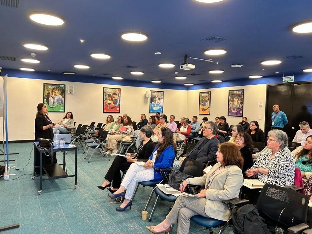 Asistentes charla Colegio de Contadores de Los Lagos.