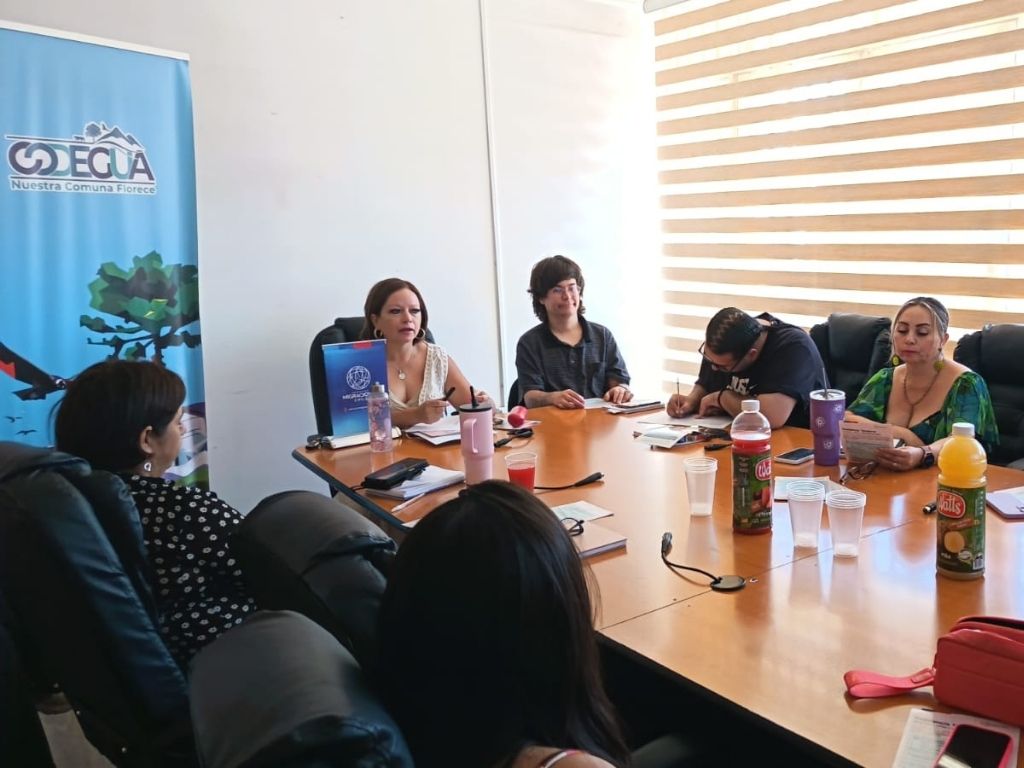 Participantes de reunión en Codegua