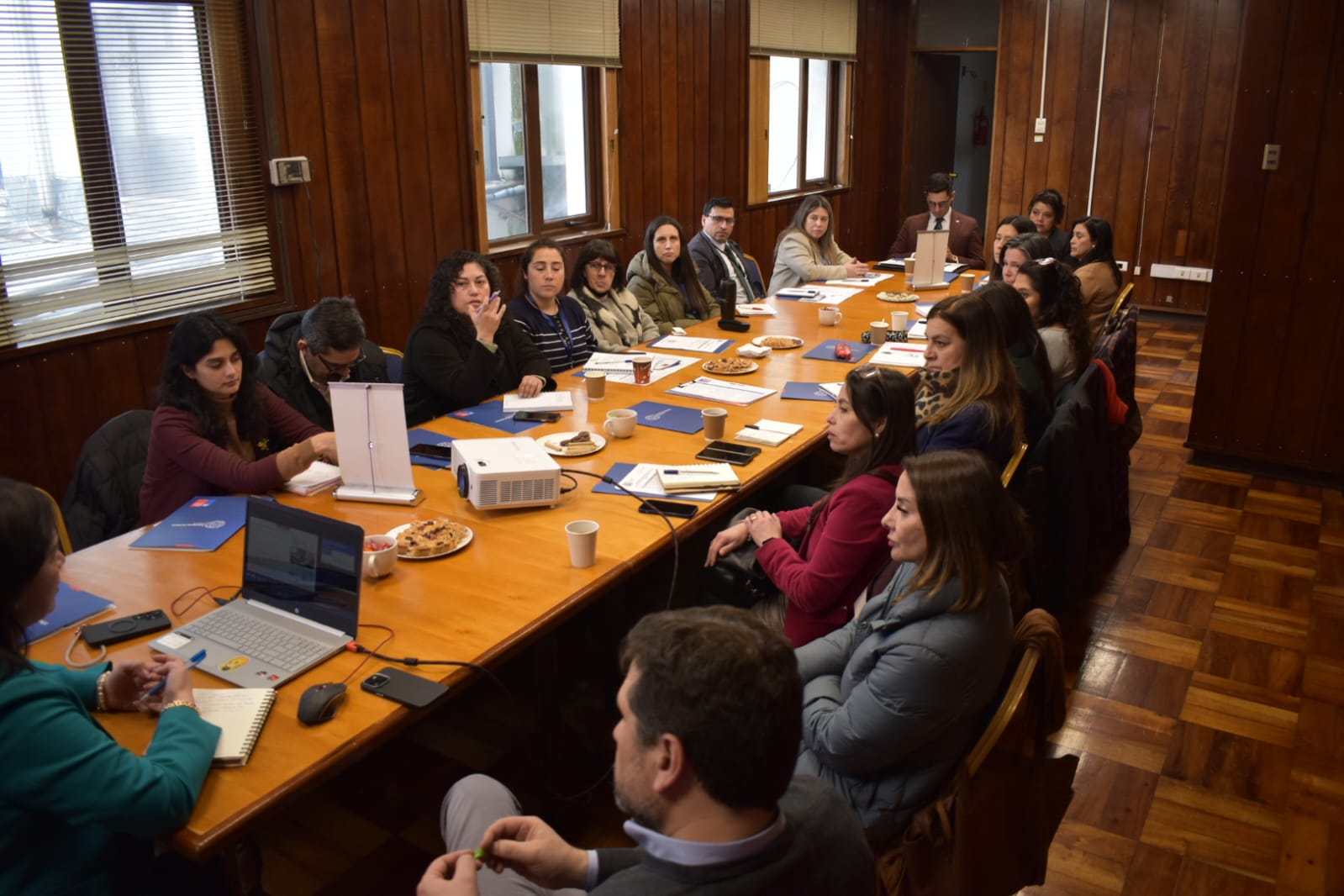 Mesa regional de NNA en la región de Los Lagos
